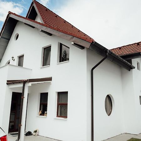 Autentic Adorabil Apartment Albestii Paminteni Экстерьер фото