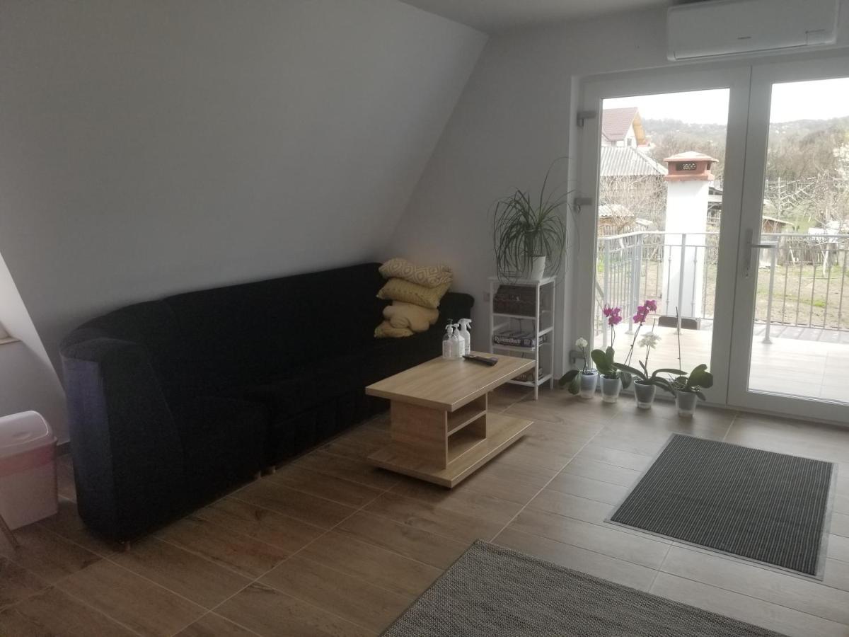 Autentic Adorabil Apartment Albestii Paminteni Экстерьер фото