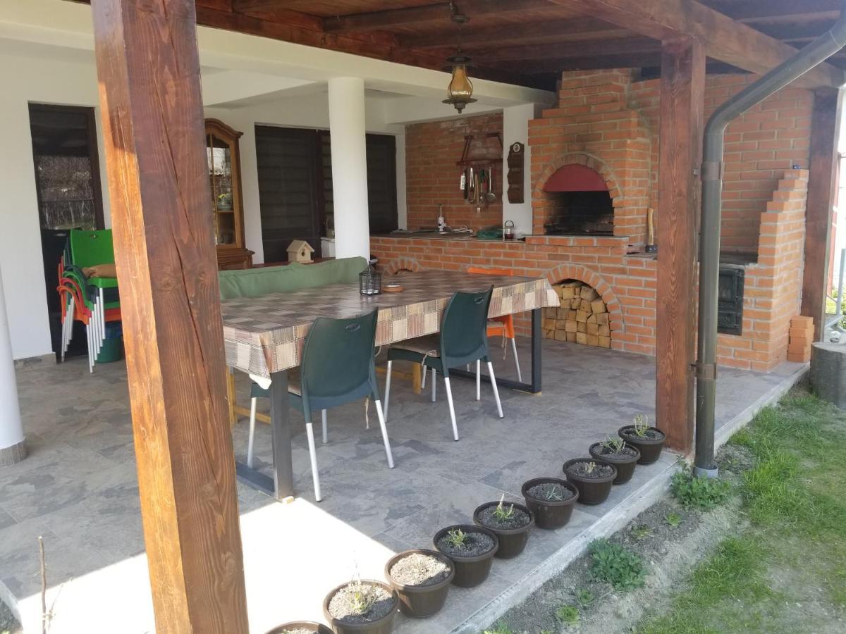 Autentic Adorabil Apartment Albestii Paminteni Экстерьер фото