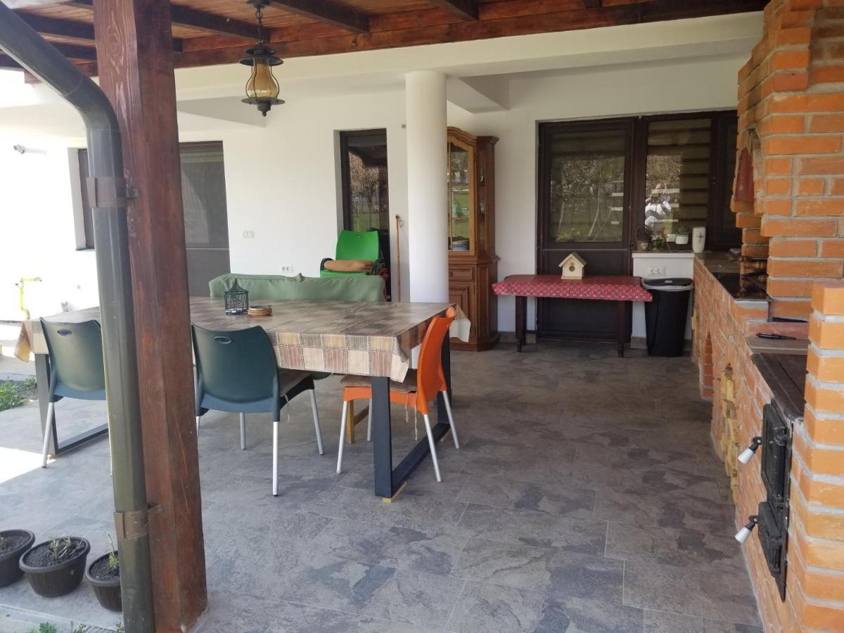 Autentic Adorabil Apartment Albestii Paminteni Экстерьер фото