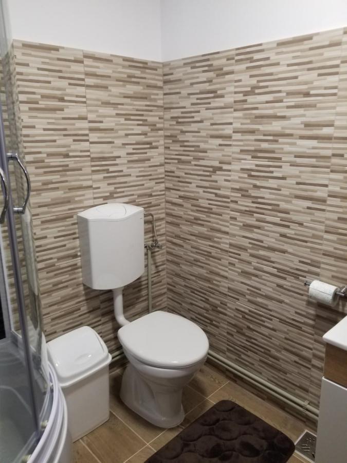 Autentic Adorabil Apartment Albestii Paminteni Экстерьер фото