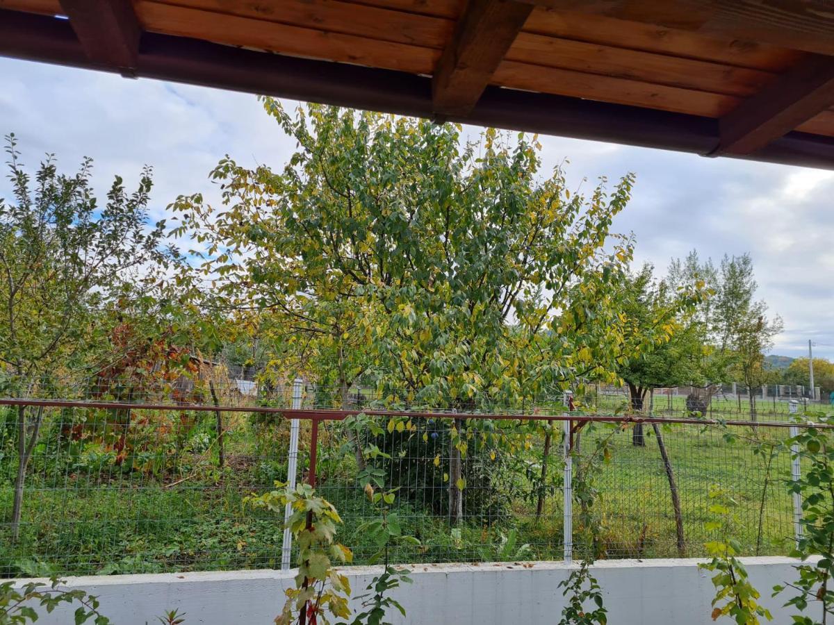 Autentic Adorabil Apartment Albestii Paminteni Экстерьер фото