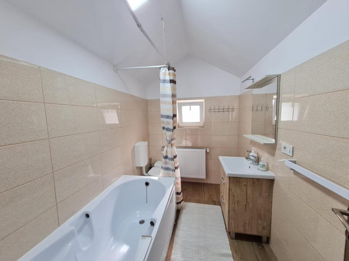 Autentic Adorabil Apartment Albestii Paminteni Экстерьер фото